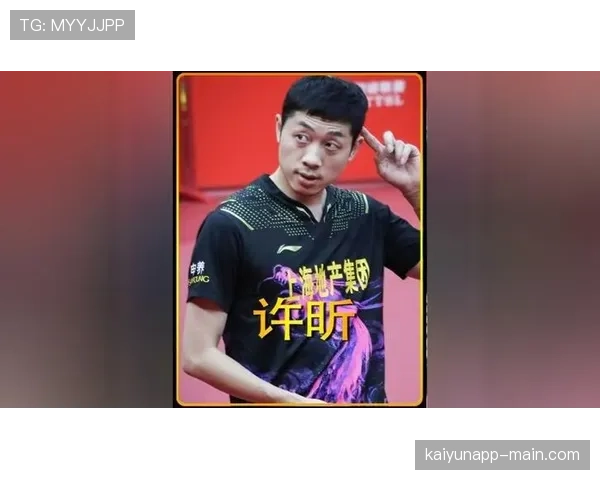 许昕家的猫都比我会花钱